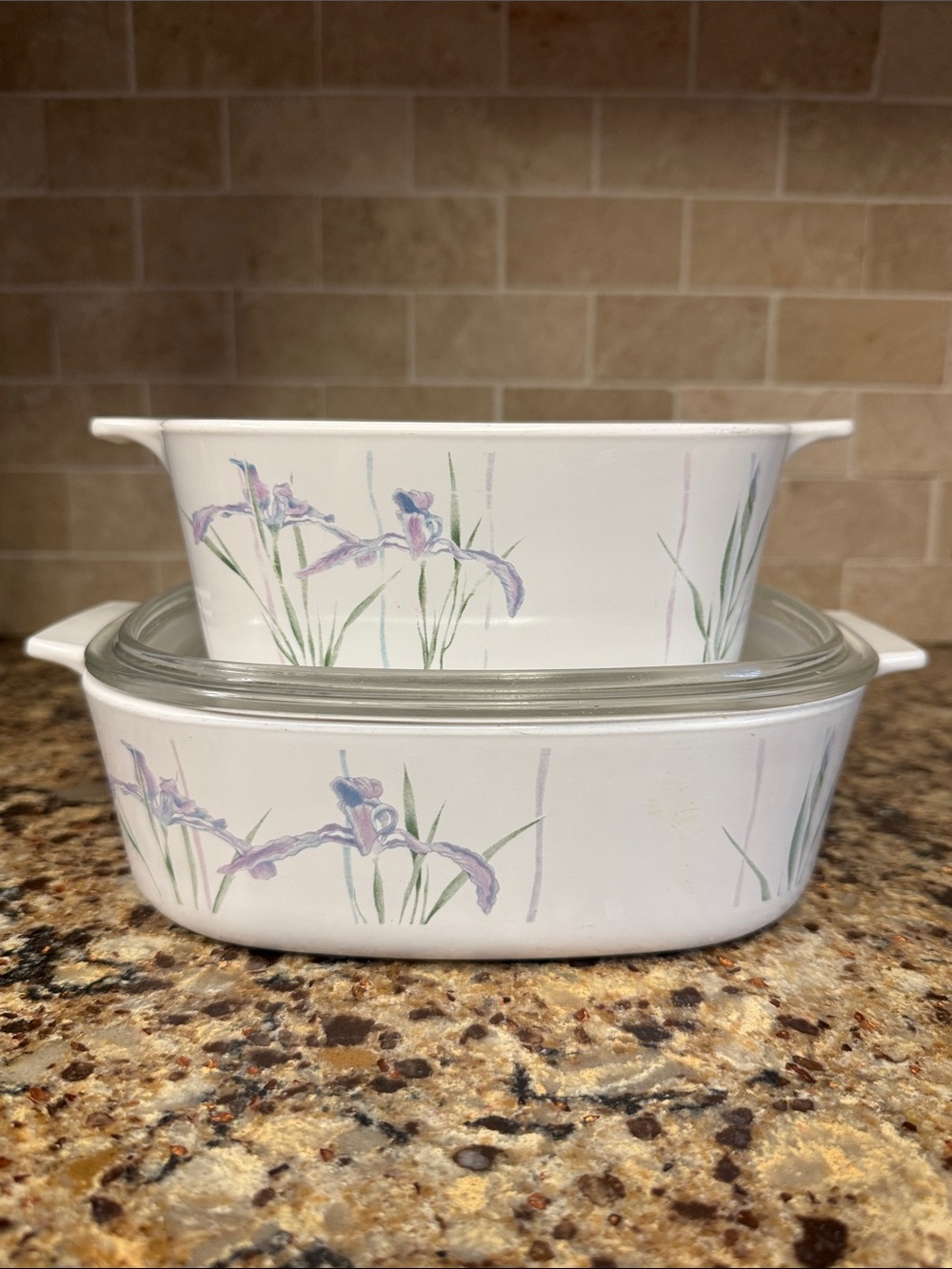 Corningware Shadow Iris Casserole Baking Dishes 1.5 & 2 Liter Set with Lid